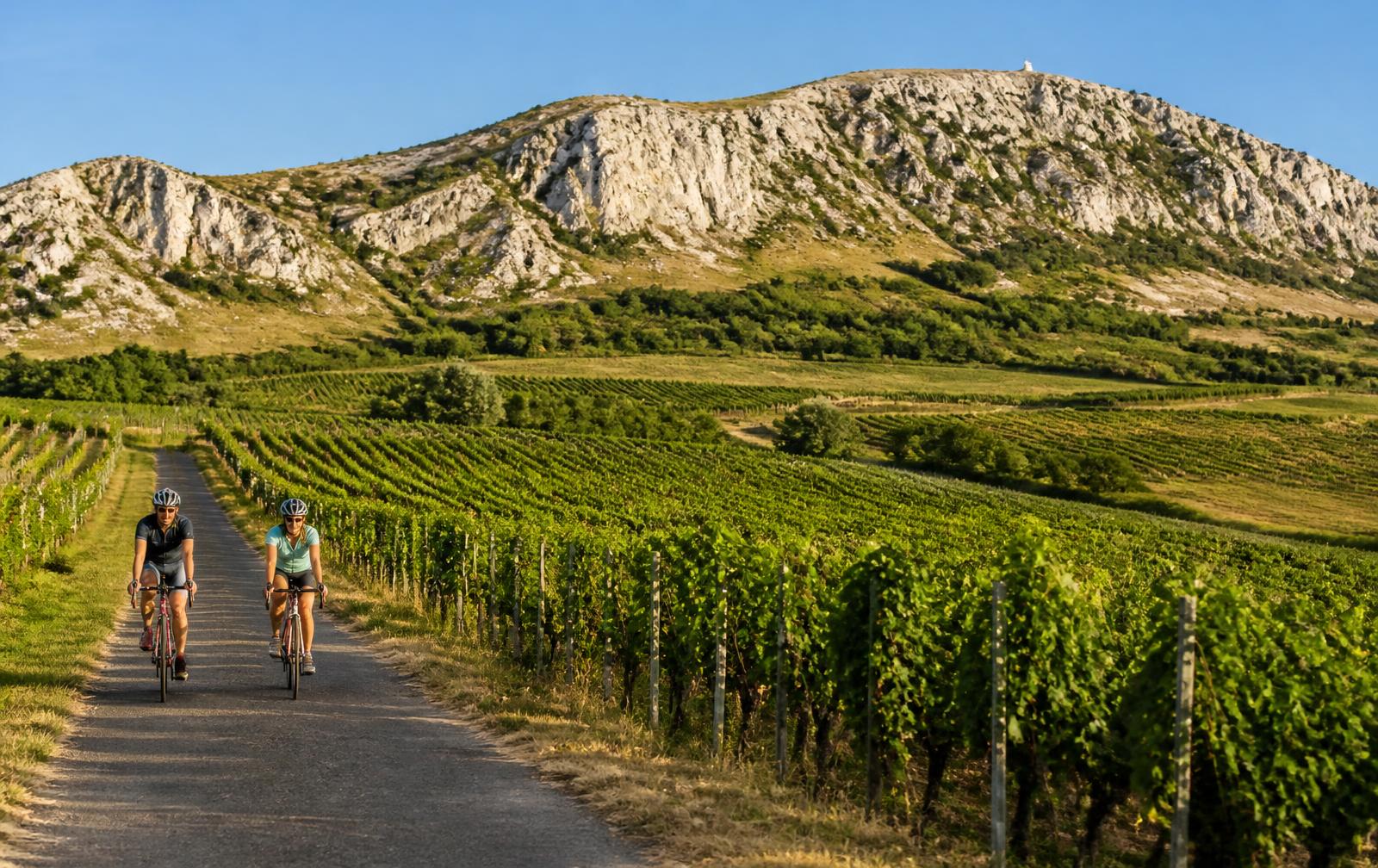 Cyklista na vinařské stezce pod Pálavou u Mikulova